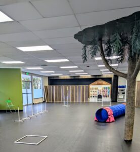 Indoor dog park with agility equipment for dogs 