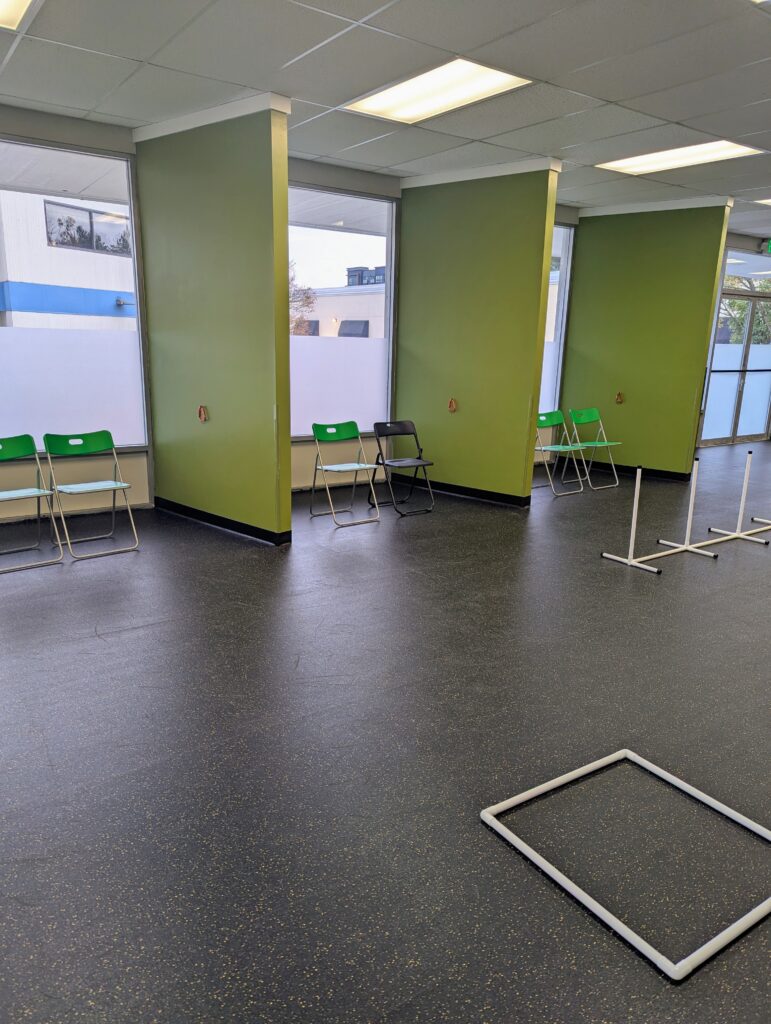 Indoor dog park training area