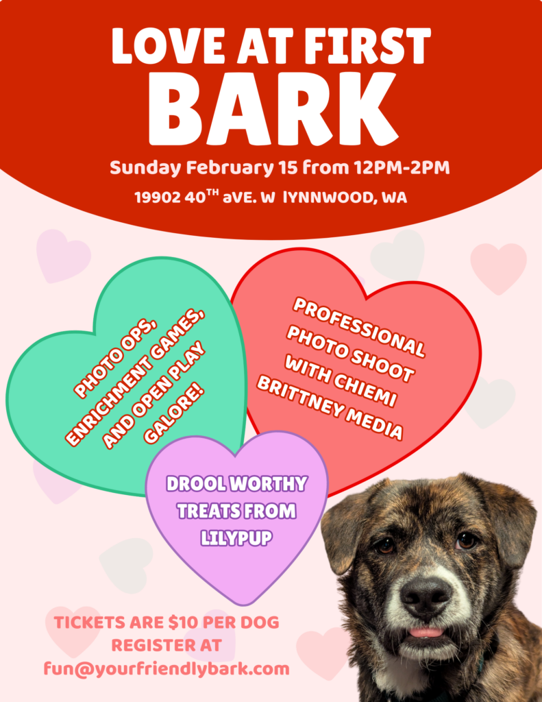 Valentines themed dog meetup poster for The Friendly Bark indoor dog park