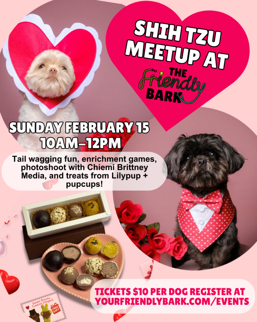 Shih tzu meetup event poster for The Friendly Bark indoor dog park t