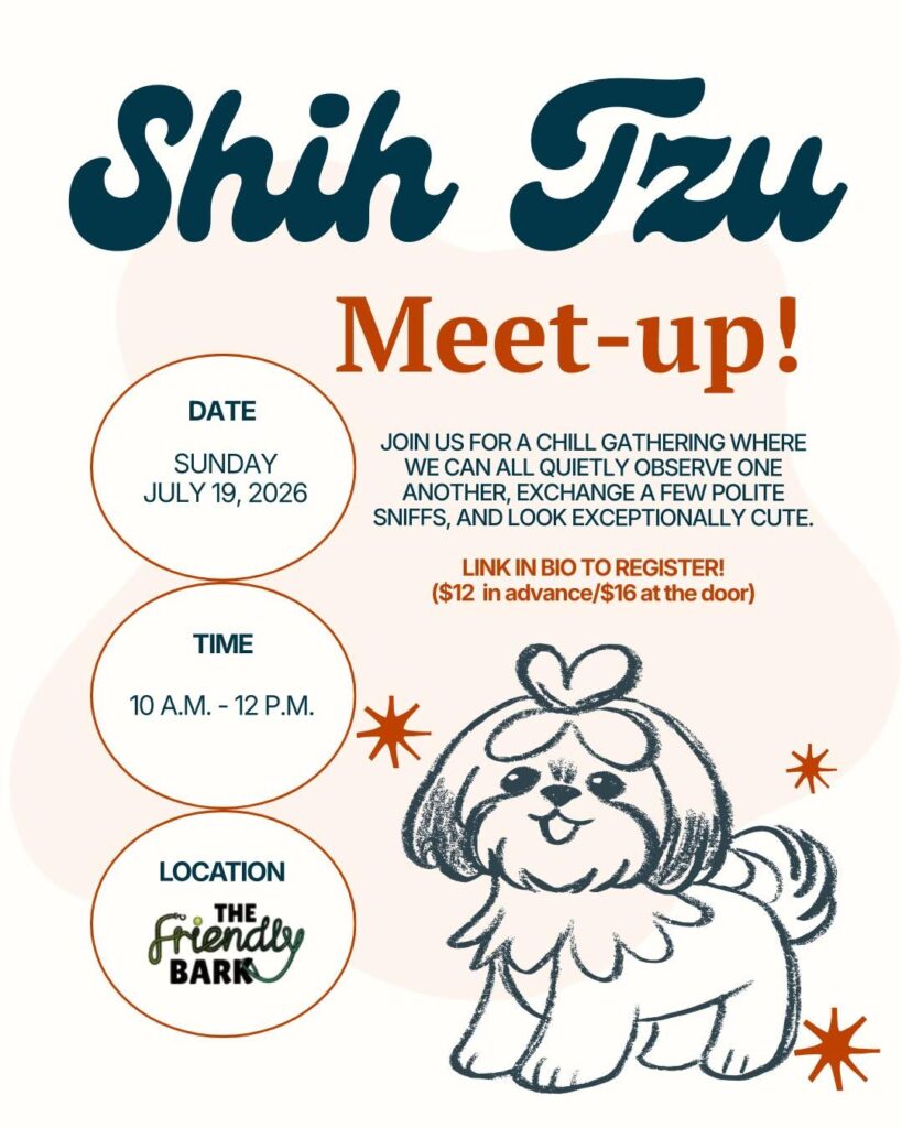 Shih Tzu Meetup at The Friendly Bark in Lynnwood, WA