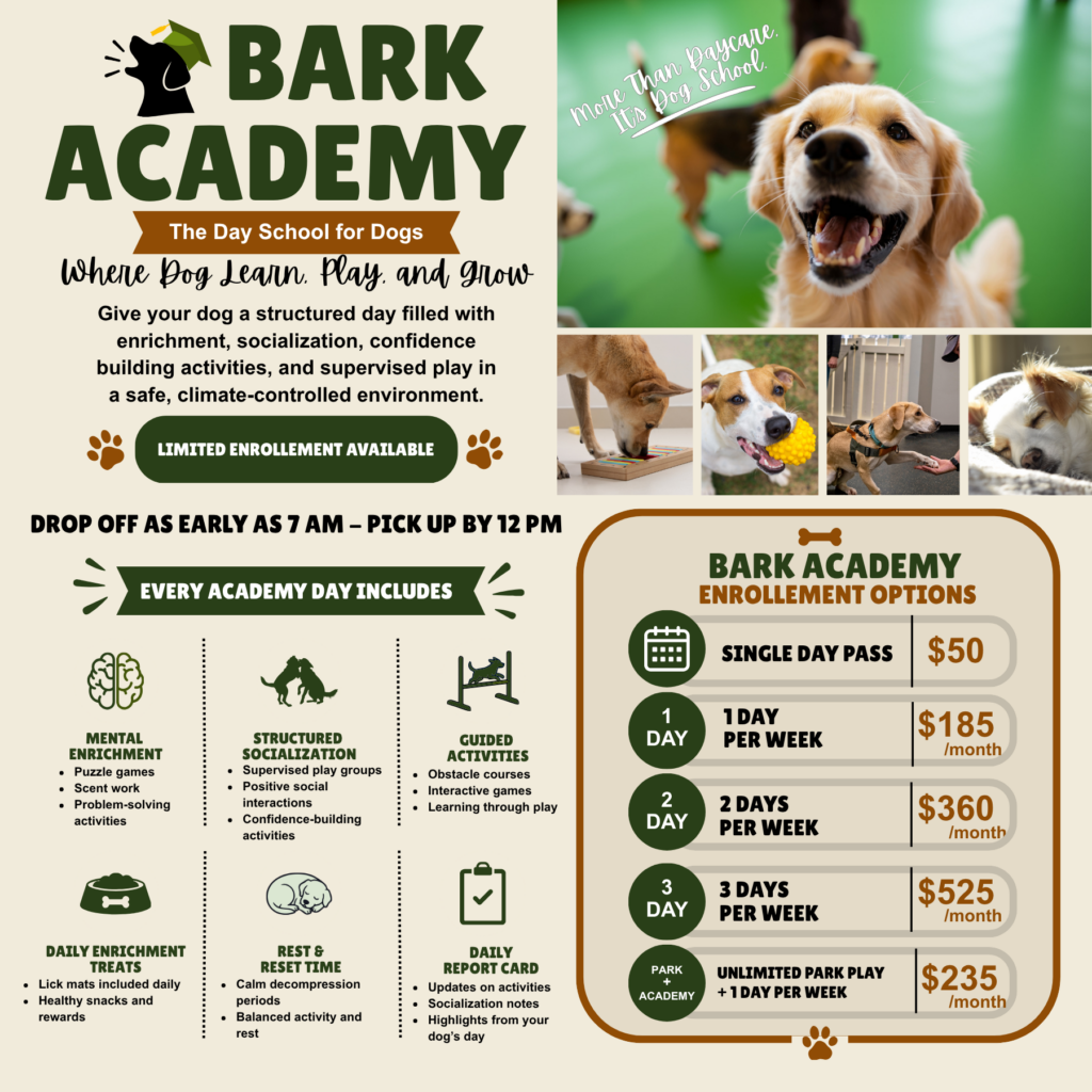 BARK ACADEMY for website (8.5 x 8.5 in) (6 x 6 in) (1)