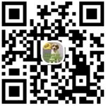 The Friendly Bark indoor dog park in Lynnwood WA Discord Community Channel Invite